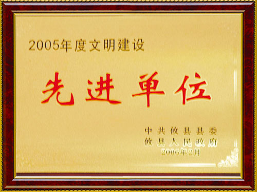 2005  先進(jìn)單位